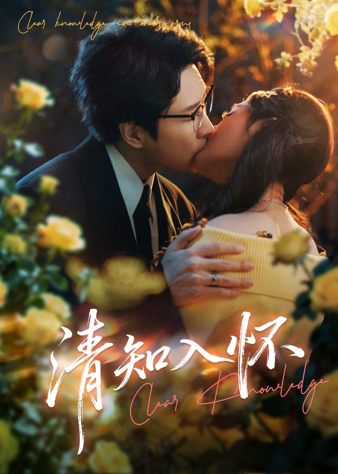 清知入怀(全集)